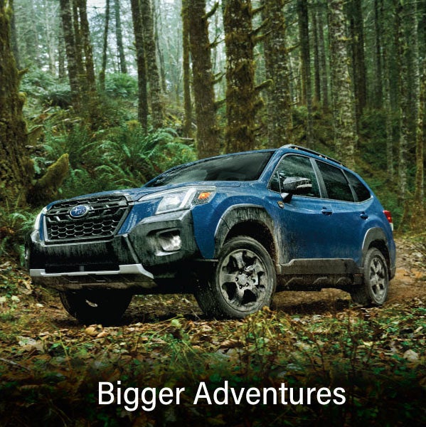 A blue Subaru outback wilderness with the words “Bigger Adventures“. | NADA - Subaru - 2024 in Conway NH